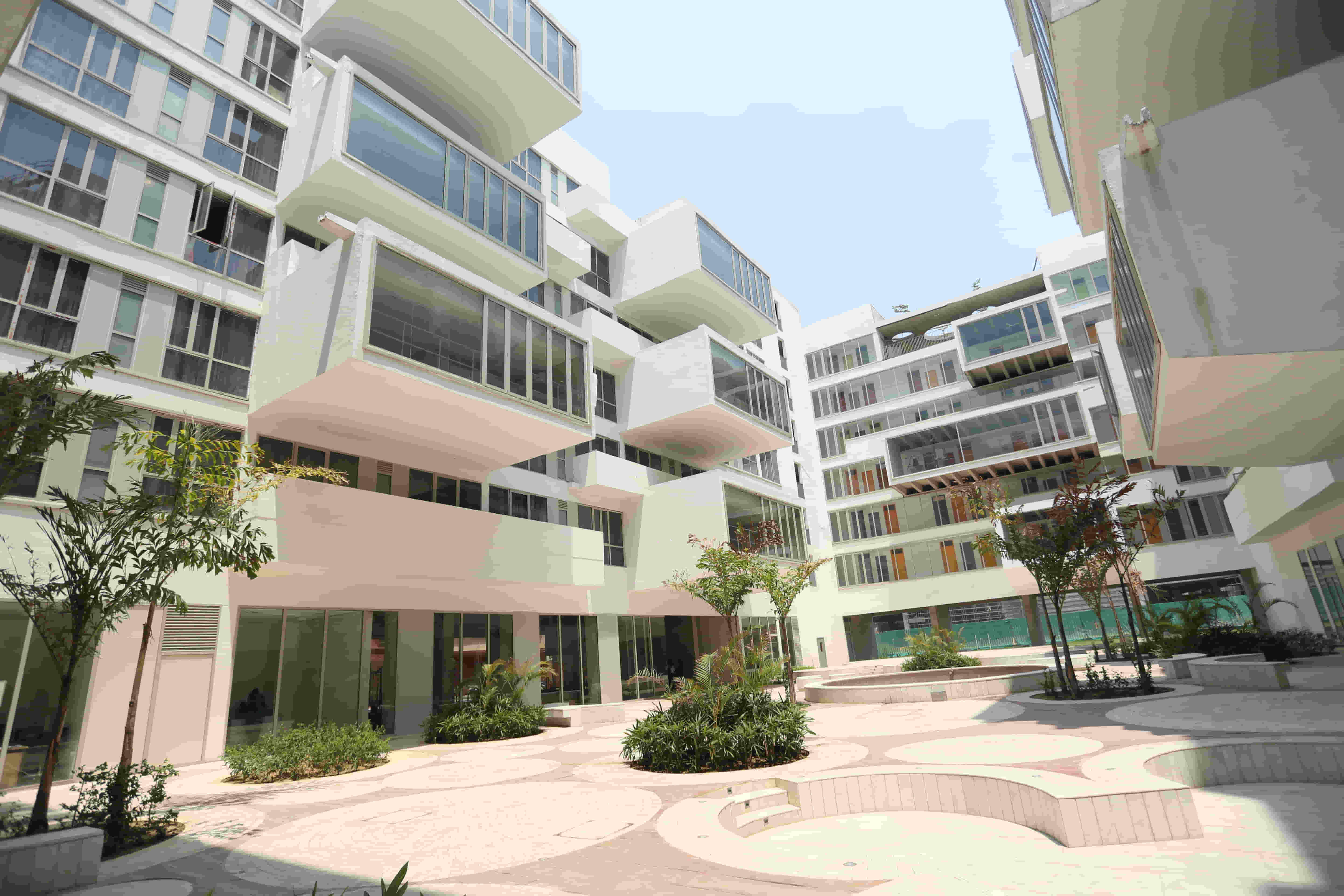 Thapar School of Liberal Arts & Sciences Patiala Campus photo 13